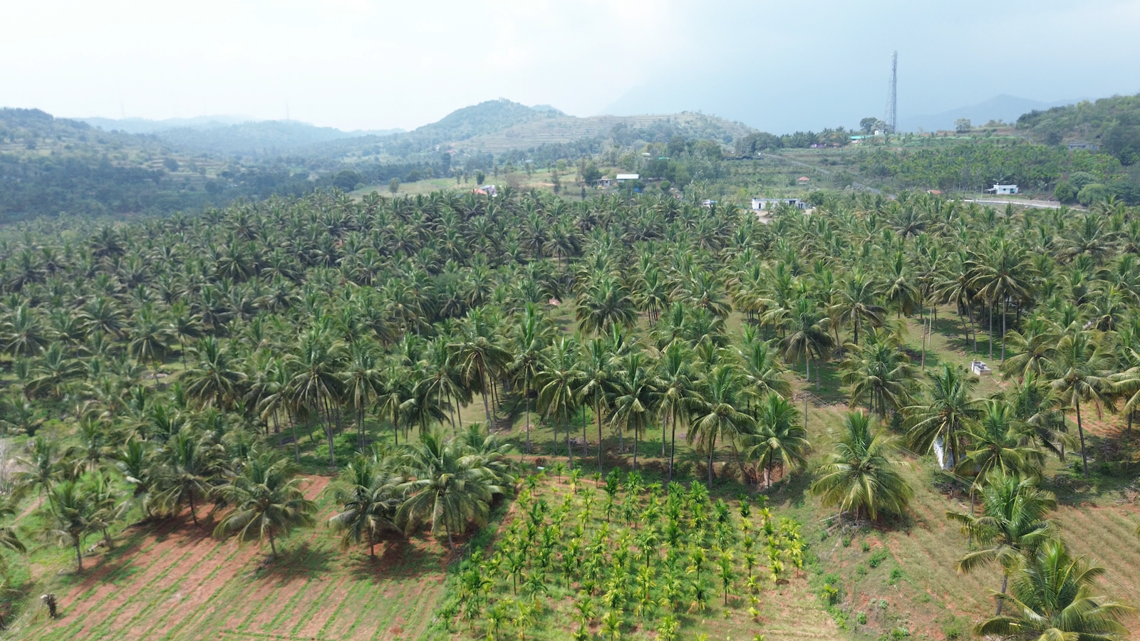 Swadesha Eco Viva surrounding landscape