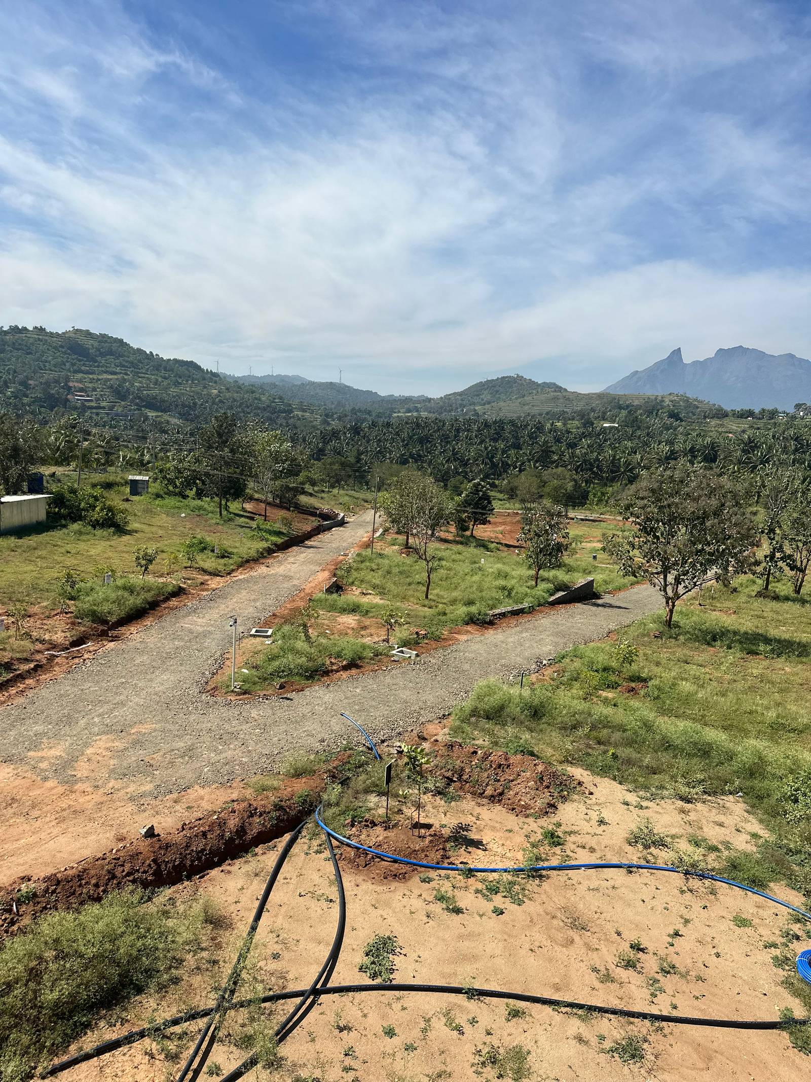 Aerial photograph of the project entry and surrounding landscape